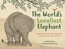 The World's Loneliest Elephant Based on the True Story of Kaavan and His Rescue
