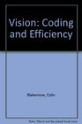 Vision  Coding and Efficiency