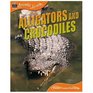 Alligators and Crocodiles (Animal Lives)