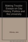 Making Trouble Essays on Gay History Politics and the University