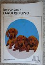 Know Your Dachshund