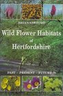 Wild Flower Habitats in Hertfordshire Past Present and Future