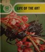 Life of the Ant