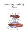Amazing World Of Ants