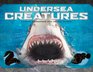 Kingdom Undersea Creatures