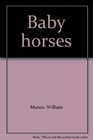 Baby horses
