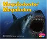 Megalodonte / Megalodon