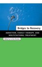 Bridges to Recovery  Addiction Family Therapy and Multicultural Treatment