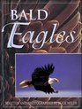 Bald Eagles  CB