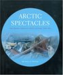Arctic Spectacles The Frozen North in Visual Culture 18181875