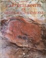 L'art des grottes en Ariege magdalenienne