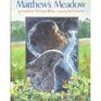 Matthew's Meadow