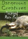 Dangerous Creatures Of The Tropical Rainforests