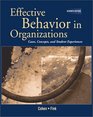 Effective Behavior in Organizations with PowerWeb