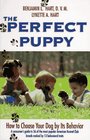 The Perfect Puppy How to Choose Your Dog by Its Behavior