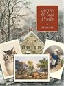 Currier  Ives Cards in Full Color : 24 Ready-to-Mail Cards (Card Books)