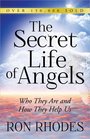 The Secret Life of Angels Who They Are and How They Help Us