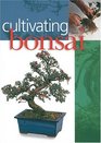 Cultivating Bonsai