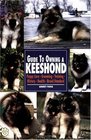 Guide to Owning a Keeshond