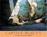 Captive Beauty