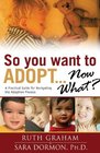 So You Want to Adopt Now What A Practical Guide for Navigating the Adoption Process