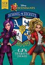 School of Secrets CJ's Treasure Chase