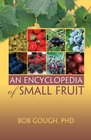 An Encyclopedia of Small Fruit