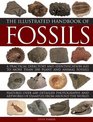 The Illustrated Handbook of Fossils: A Practical Directory And Identification Aid To More Than 300 Plant And Animal Fossils