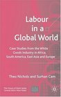 Labour in a Global World Case Studies from the White Goods Industry in Africa South America East Asia and Europe