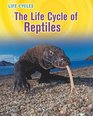 The Life Cycle of Reptiles