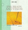 Eye Brain and Vision