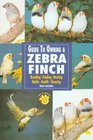 Guide to Owning a Zebra Finch