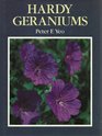 Hardy Geraniums