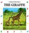 The Giraffe