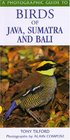 Photographic Guide to Birds of Java Sumatra and Bali