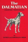 The Dalmatian Coach Dog Firehouse Dog