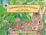 Cottontail at Clover Crescent