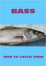 How to Catch Bass in Any Conditions