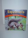 Squirrels Furry Scurriers