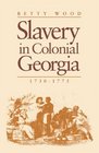 Slavery In Colonial Georgia 17301775