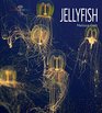 Jellyfish Living Wild