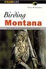 Birding Montana