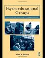 Psychoeducational Groups Process and Practice