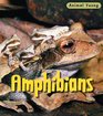 Amphibians