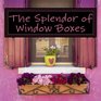 The Splendor of Window Boxes A Picture Book for Seniors Adults with Alzheimer's and Others
