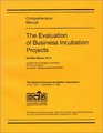 The Evaluation of Business Incubation Projects