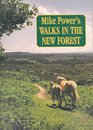 Mike Power's Walks in the New Forest
