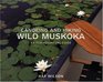 Canoeing and Hiking Wild Muskoka An EcoAdventure Guide
