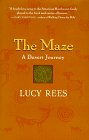 The Maze a Desert Journey