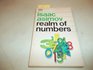 Realm of Numbers